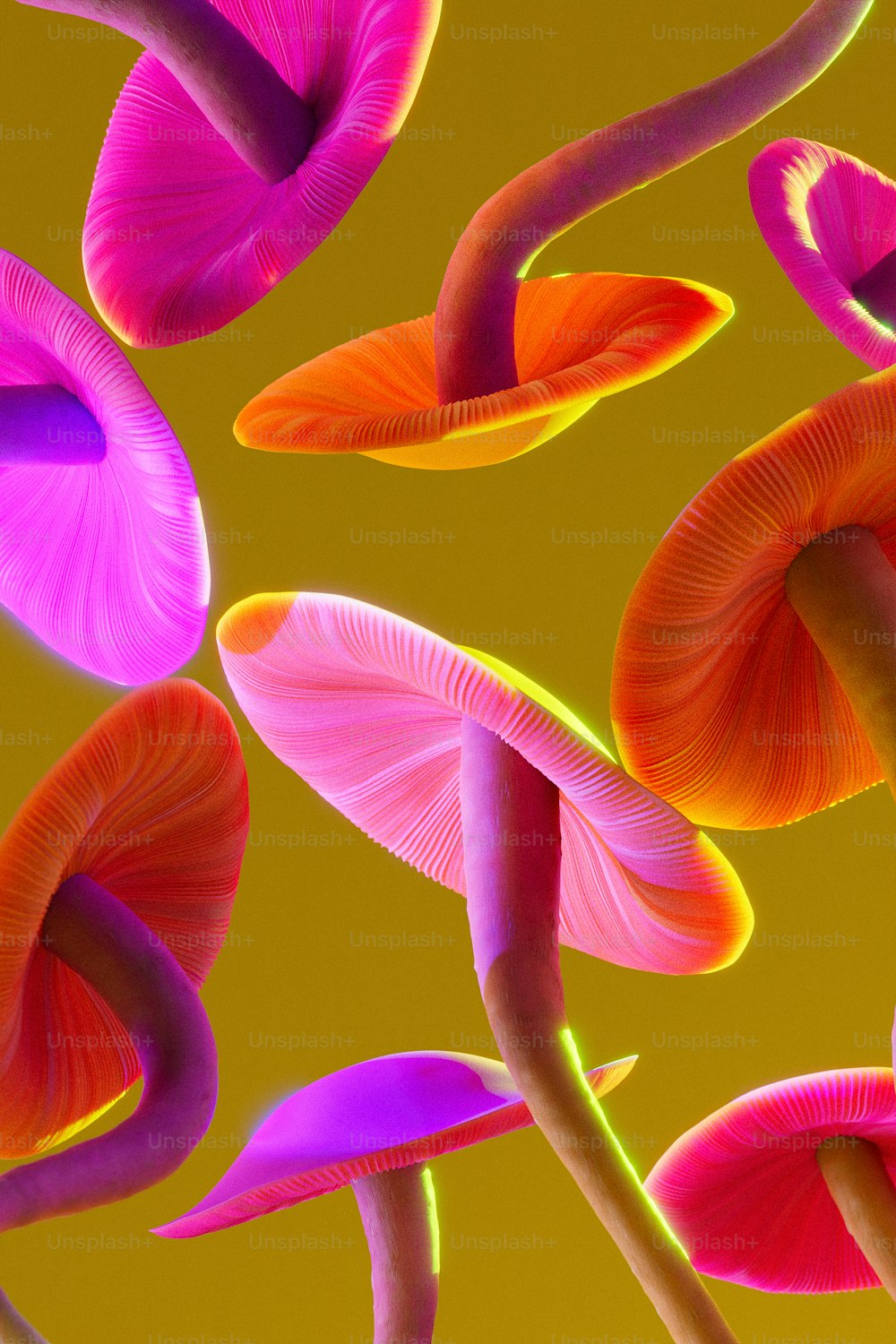 a close up of a bunch of mushrooms on a yellow background