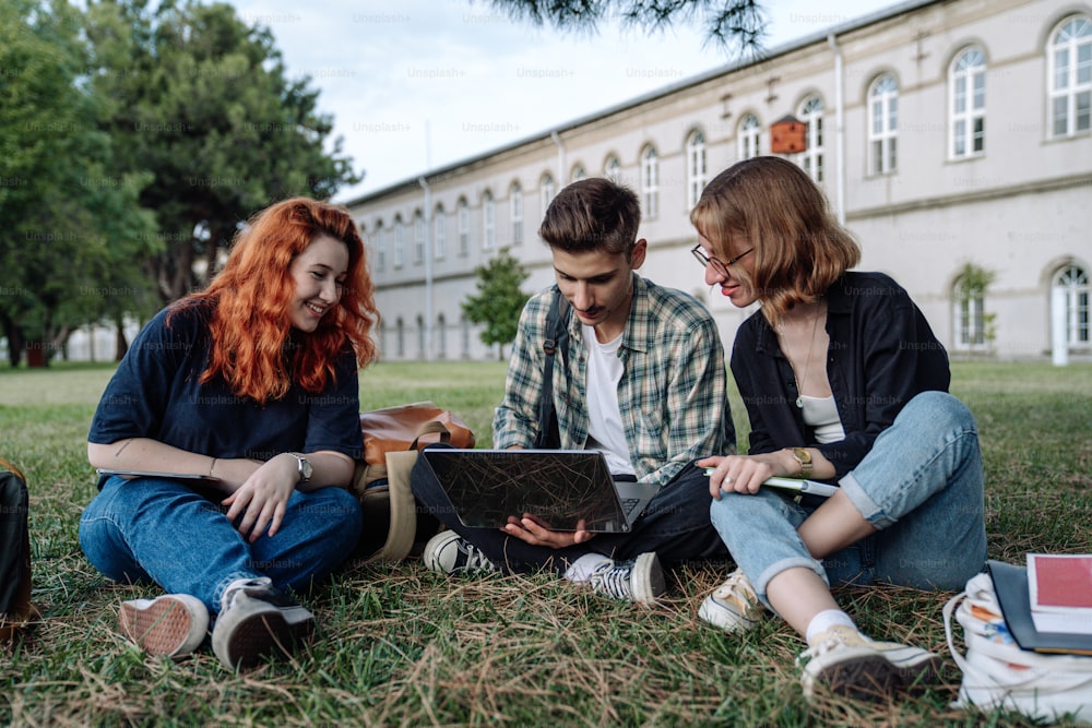 three people sitting on the grass looking at a laptop