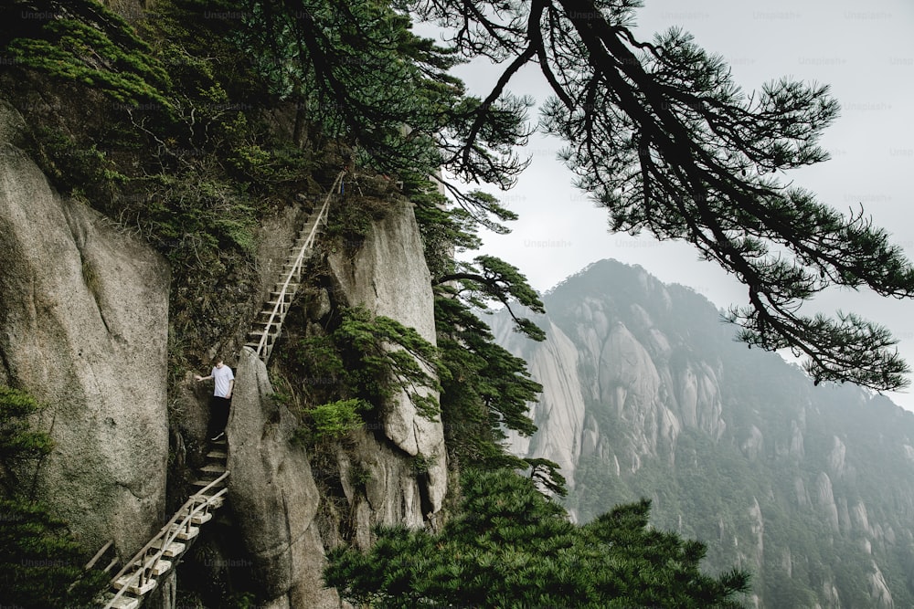 Un uomo che si arrampica su una montagna ripida con una scala