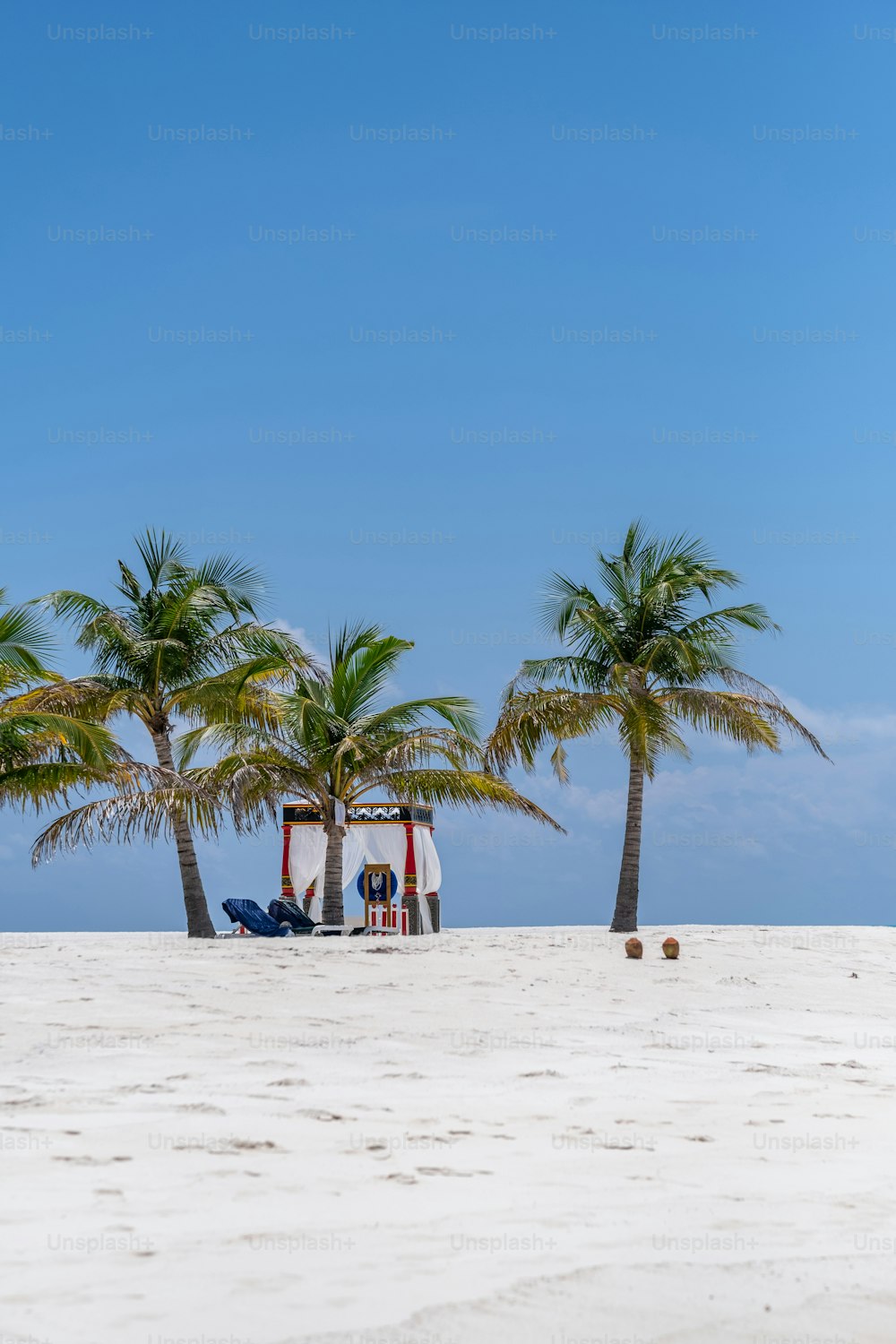un paio di palme sedute sulla cima di una spiaggia sabbiosa