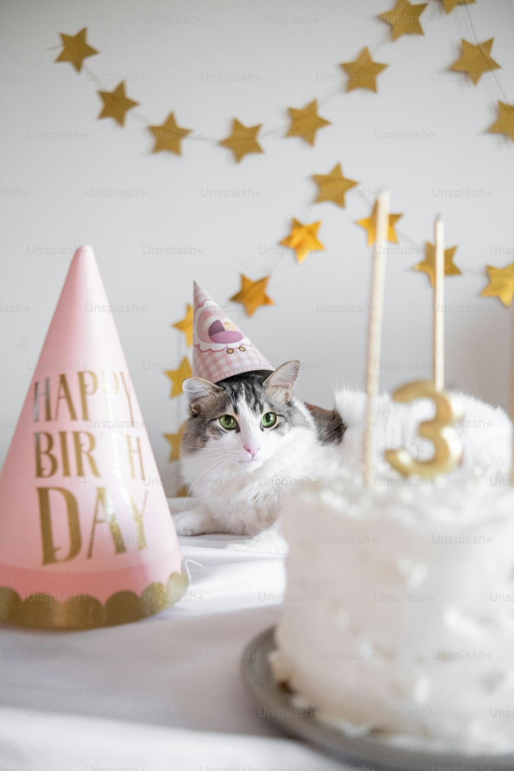 a cat sitting in front of a birthday cake