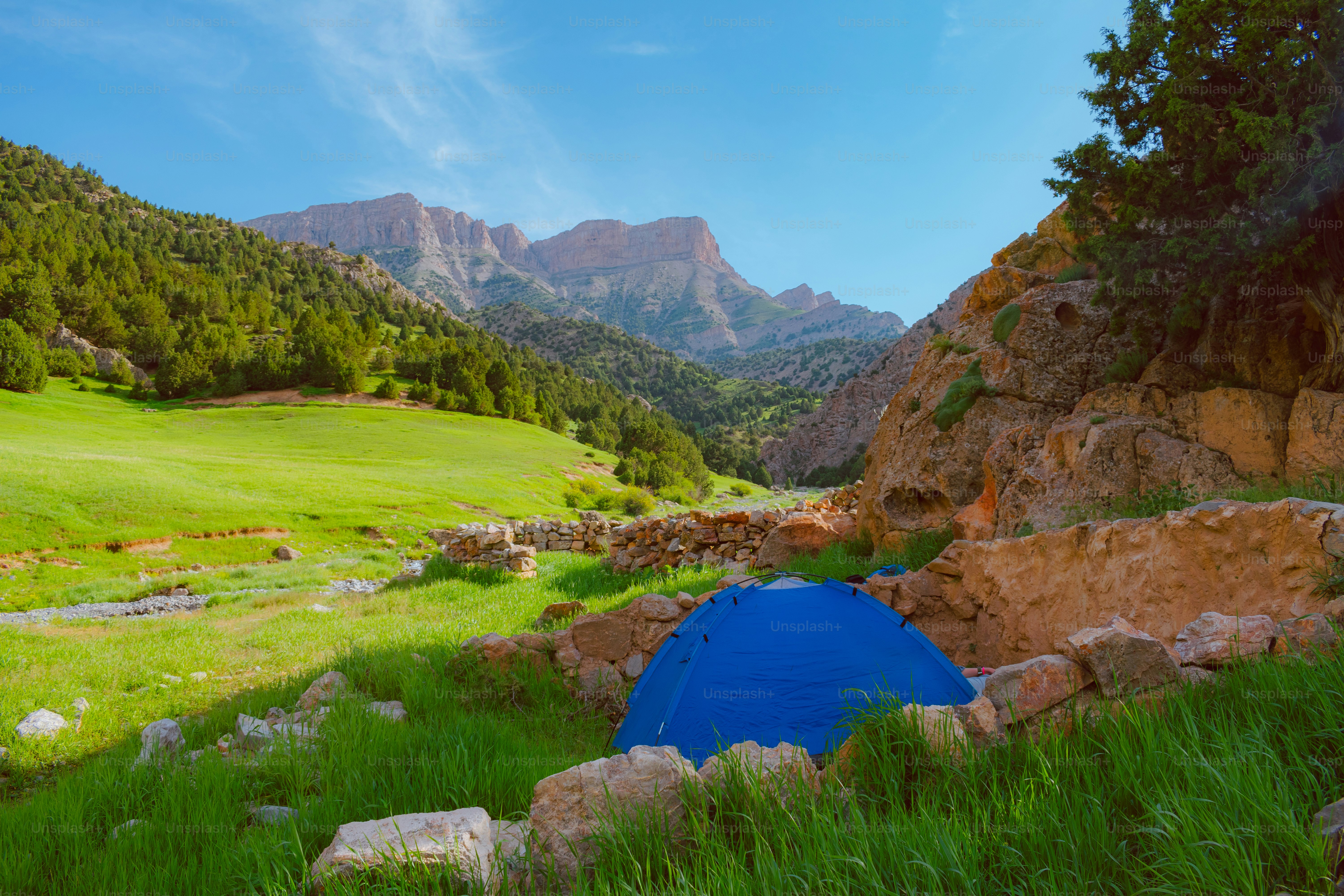 Una carpa azul sentada en la cima de un exuberante campo verde