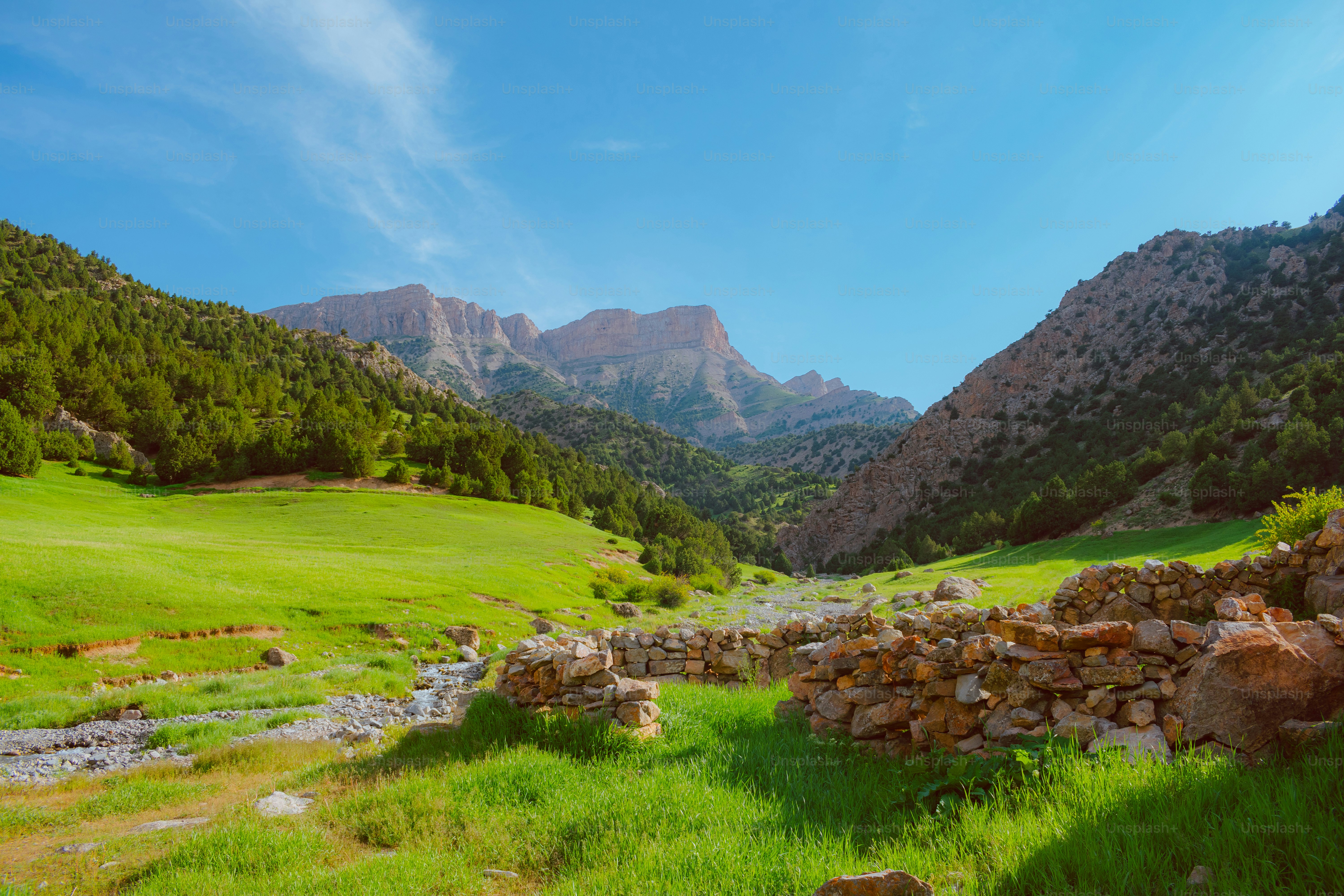 a grassy field with a rock wall and mountains in the background