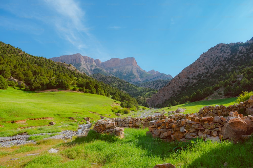 a grassy field with a rock wall and mountains in the background