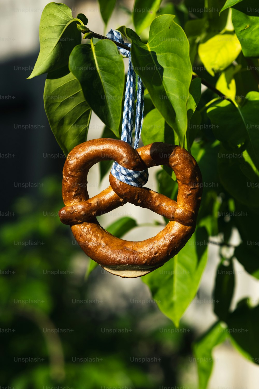 a couple of pretzels hanging from a tree