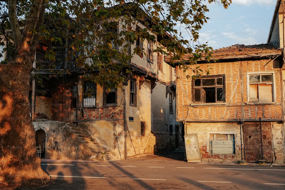 un vieux bâtiment délabré avec un arbre devant lui