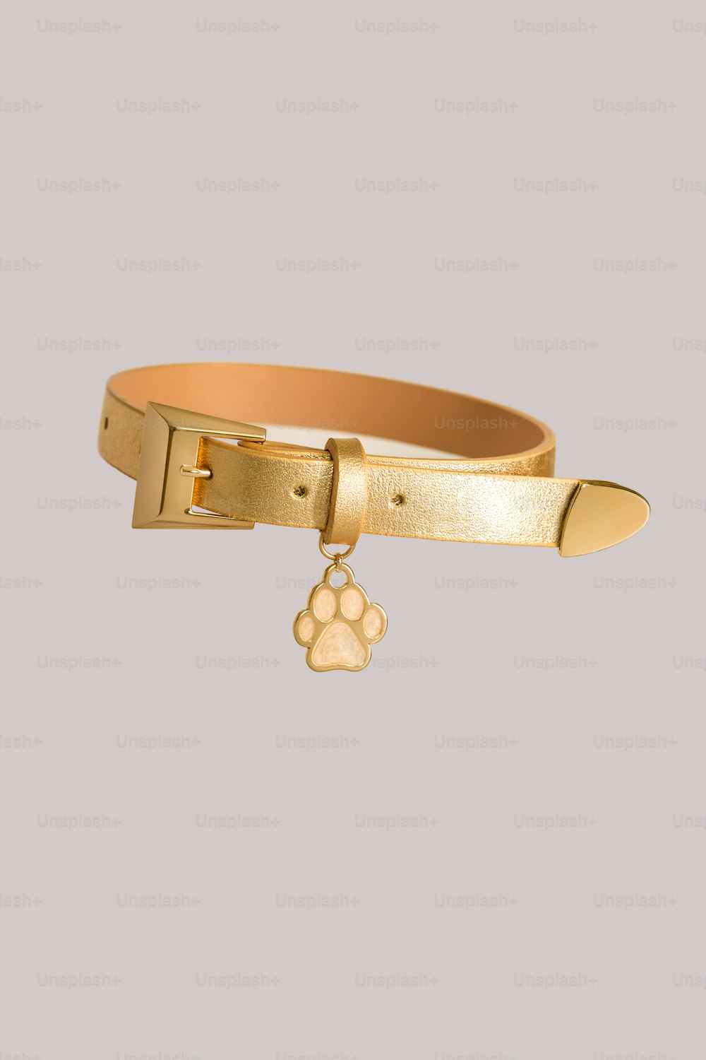 a gold belt with a dog's paw charm