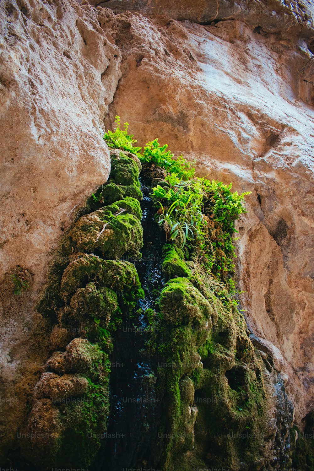 a mossy rock formation with a small stream running between it