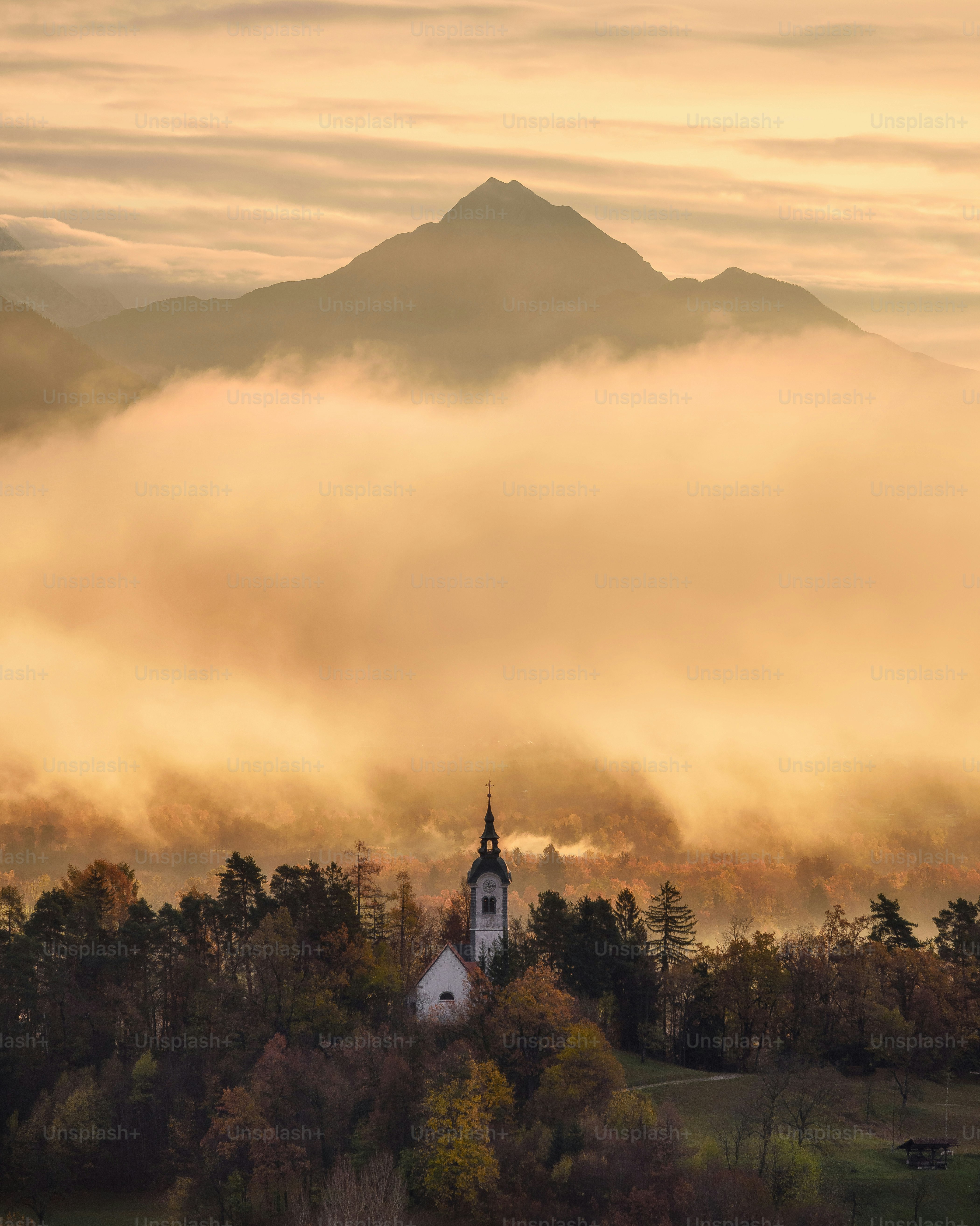 a church in the middle of a forest with a mountain in the background