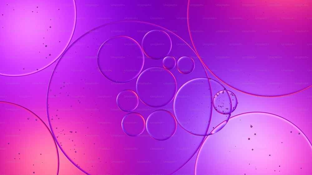 a purple background with circles and bubbles