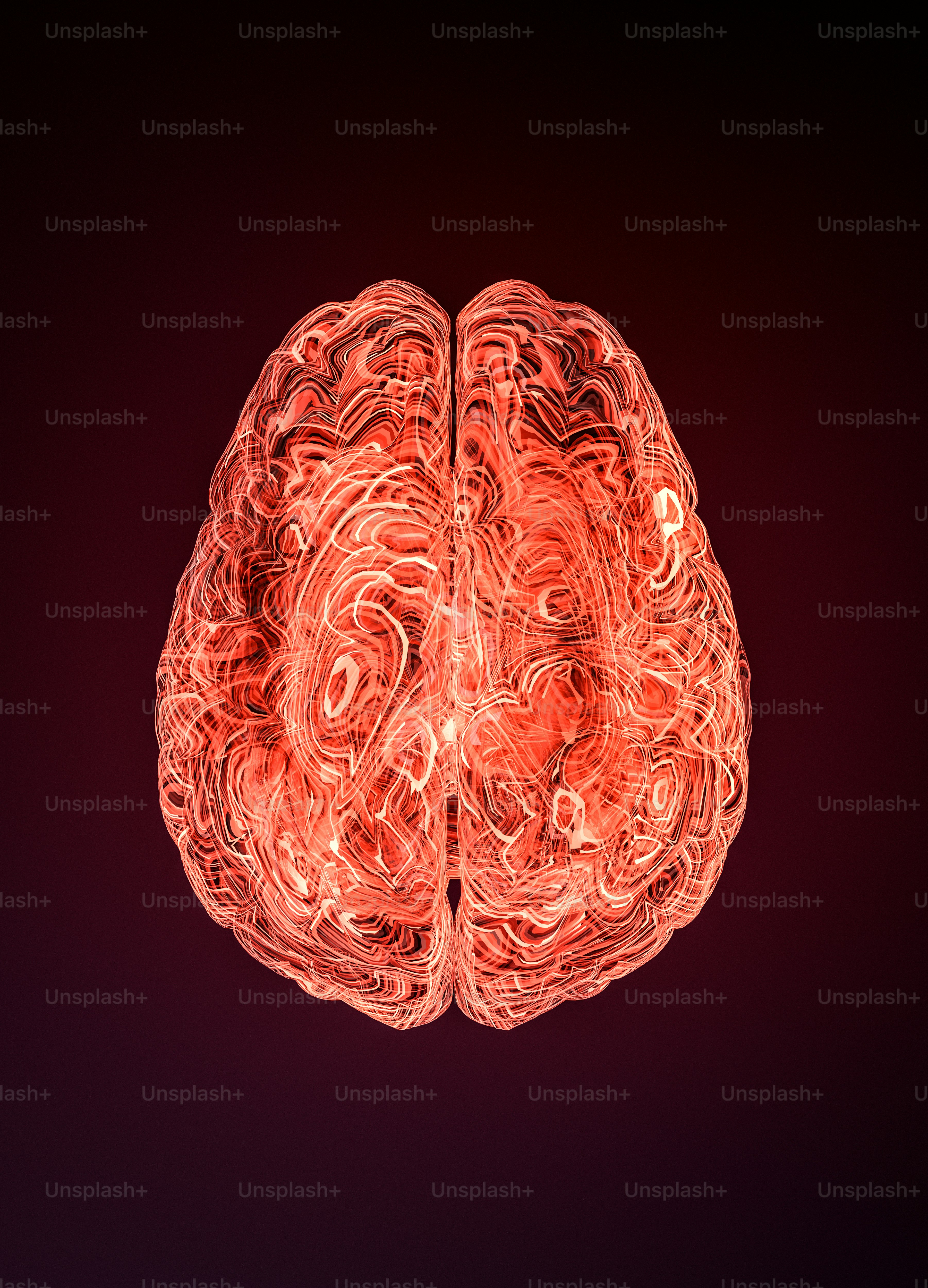 a computer generated image of a human brain
