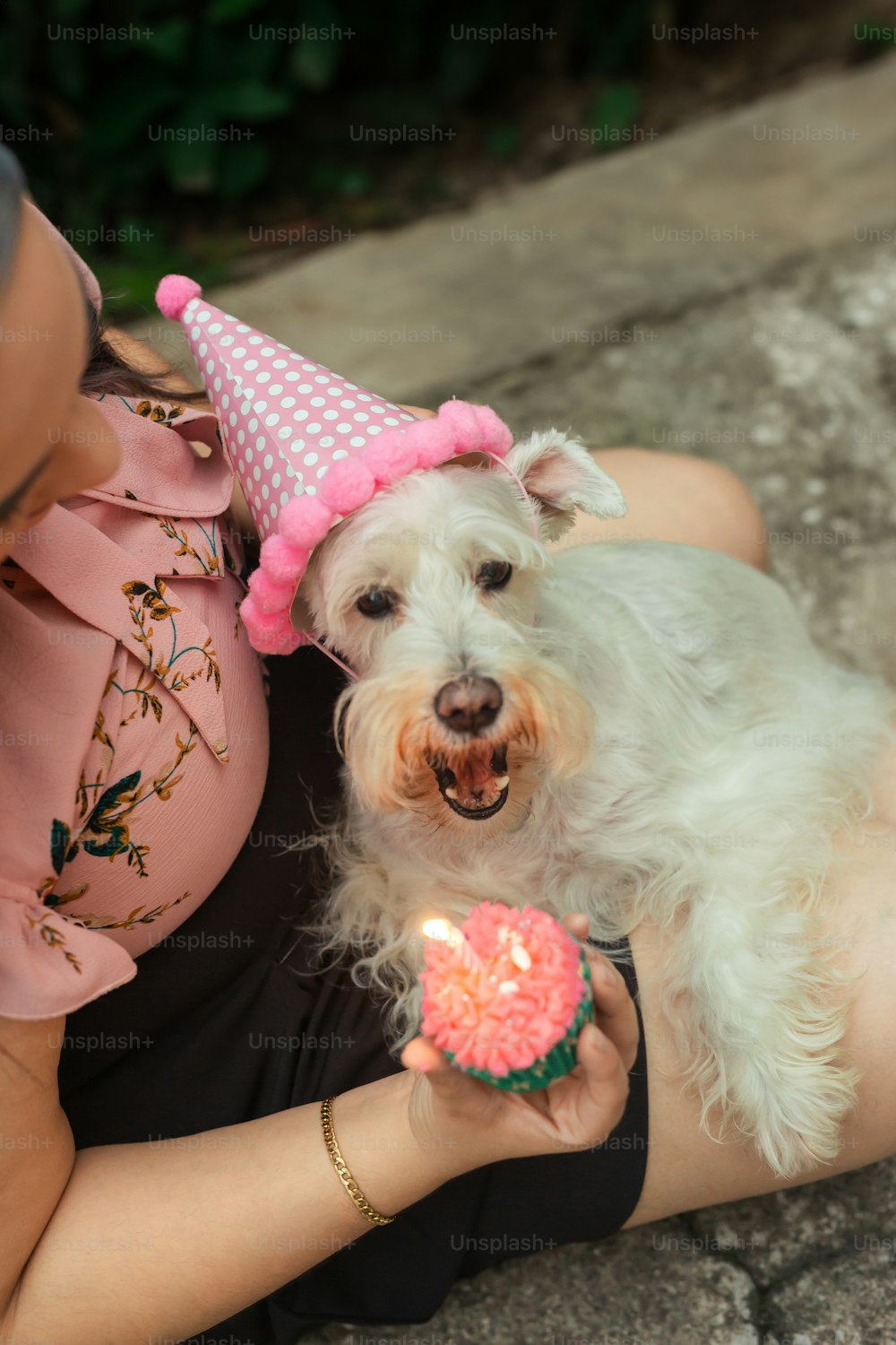 a woman holding a small white dog wearing a birthday hat