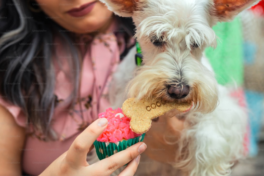Una mujer alimentando a un perro con un pedazo de comida