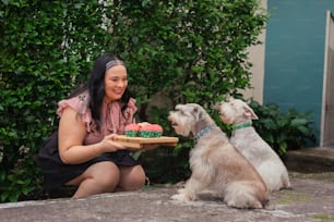 a woman holding a tray of cupcakes next to two dogs