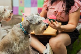 una donna seduta a un tavolo con due cani