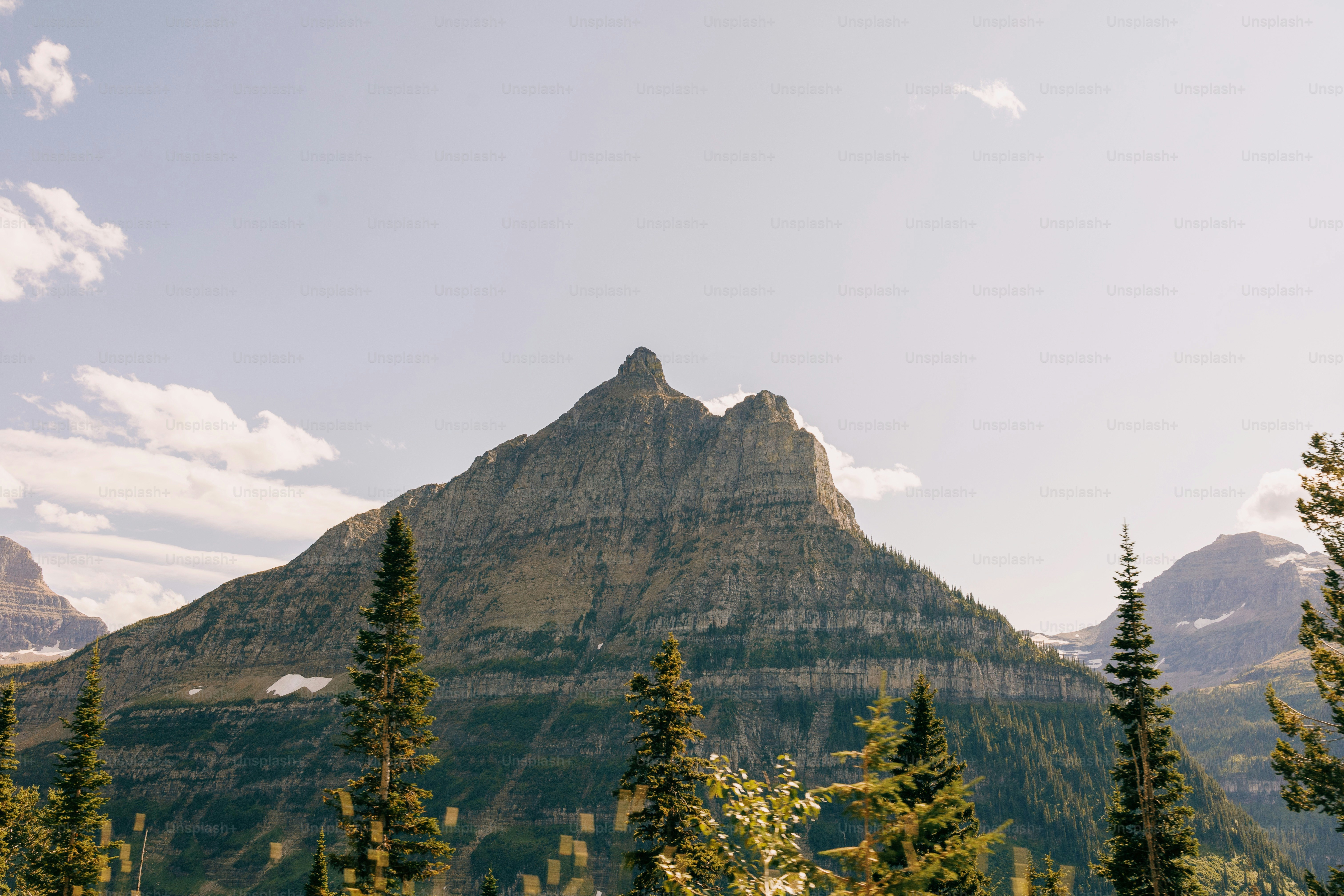 una vista di una montagna con alberi in primo piano