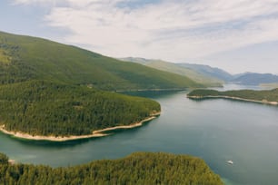 a large body of water surrounded by a forest