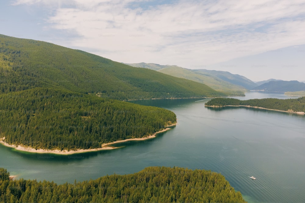 a large body of water surrounded by a forest