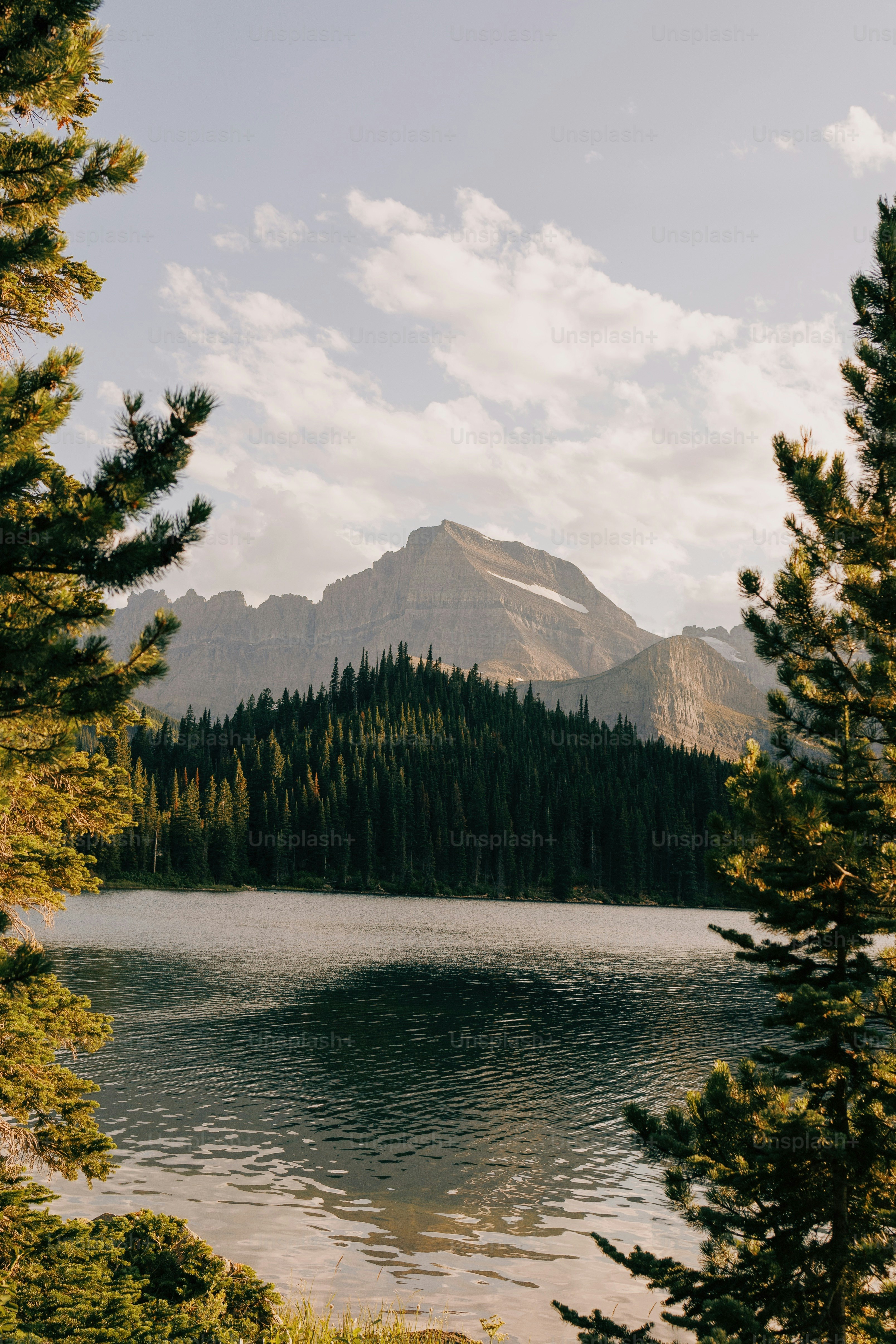 a large body of water surrounded by trees