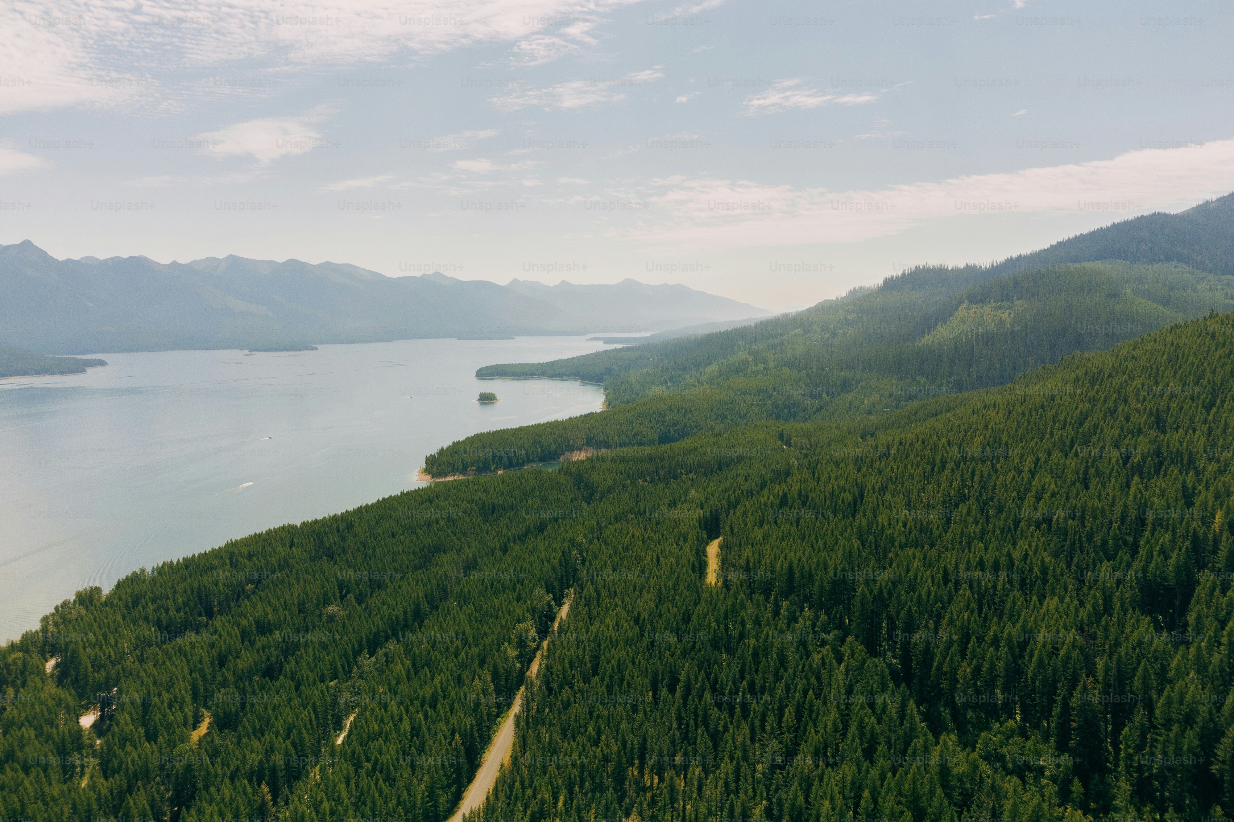 an aerial view of a lake surrounded by trees