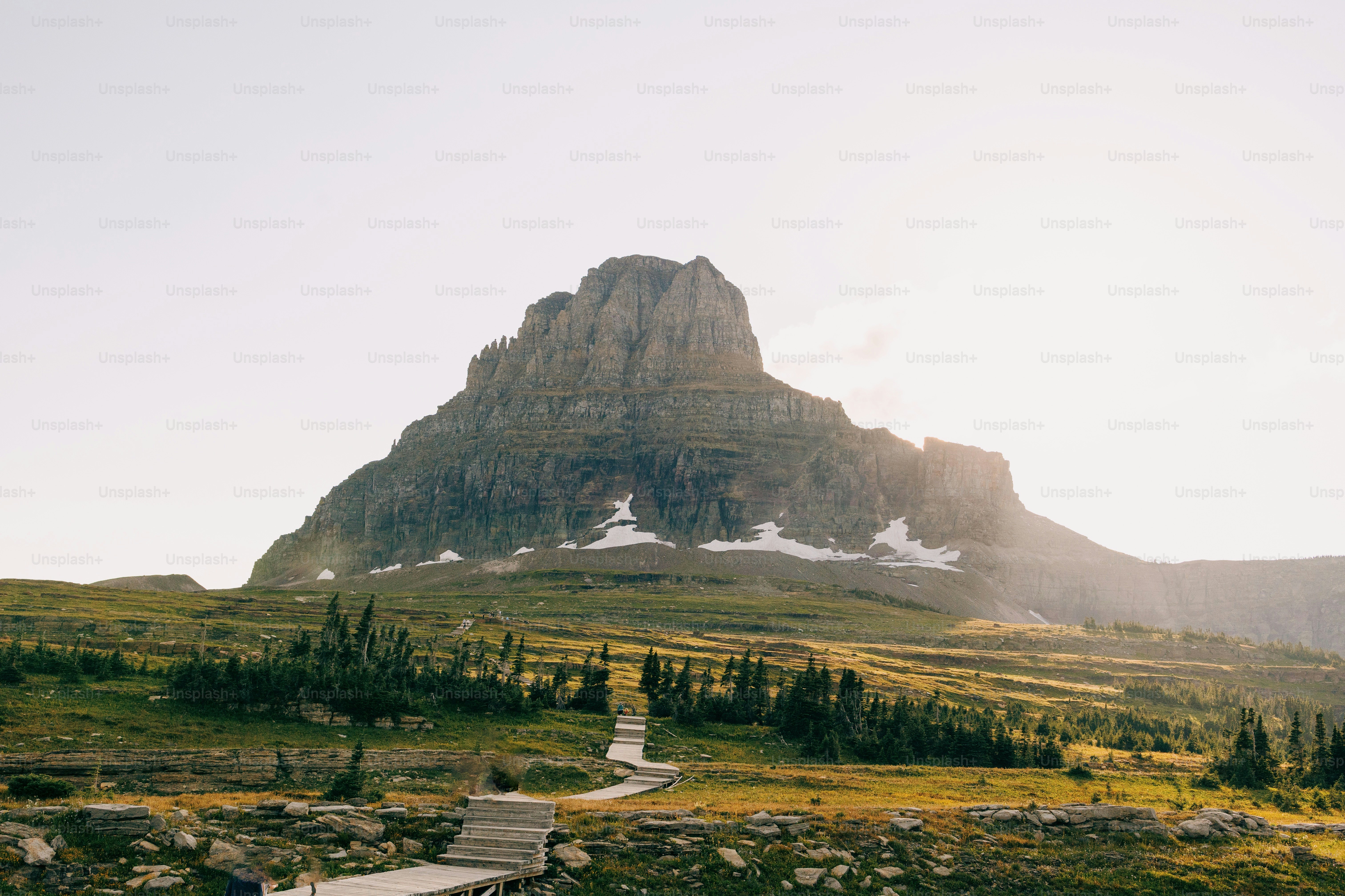 una panchina di legno seduta sulla cima di una collina verde lussureggiante