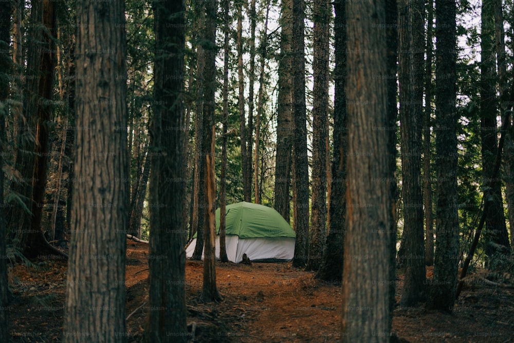 a tent in the middle of a forest