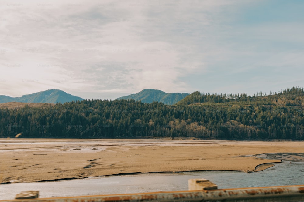 a body of water surrounded by mountains and trees