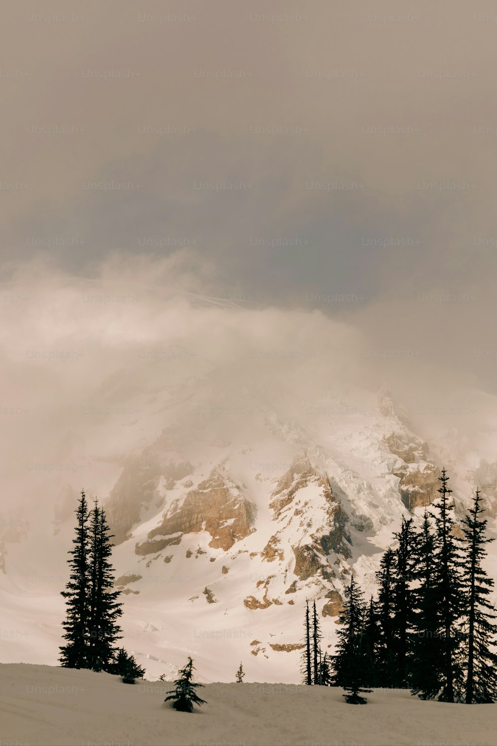 a snow covered mountain with trees in the foreground