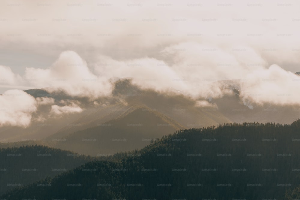 un gruppo di montagne coperte di nuvole e alberi