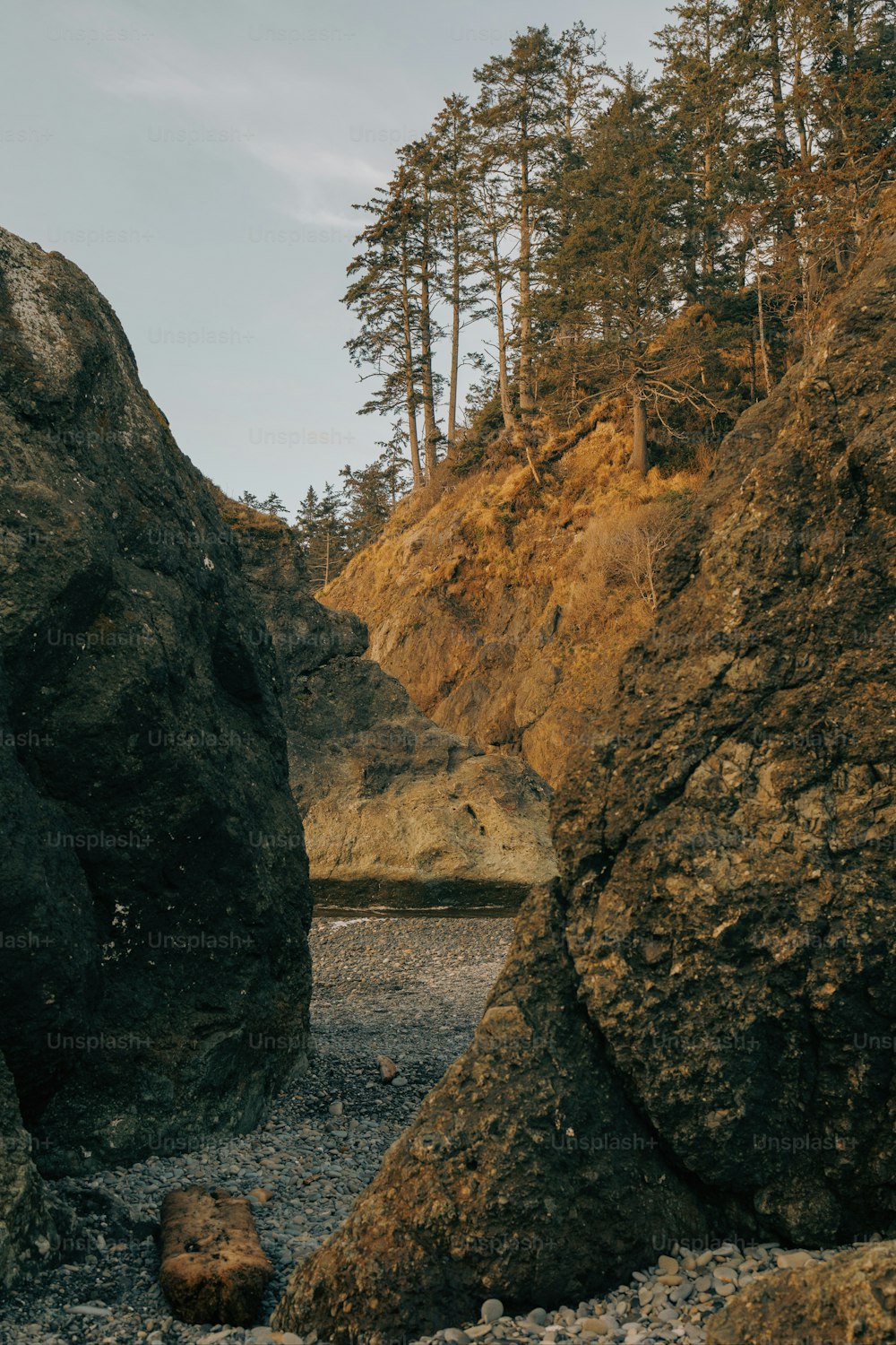 a rocky beach with large rocks and trees in the background