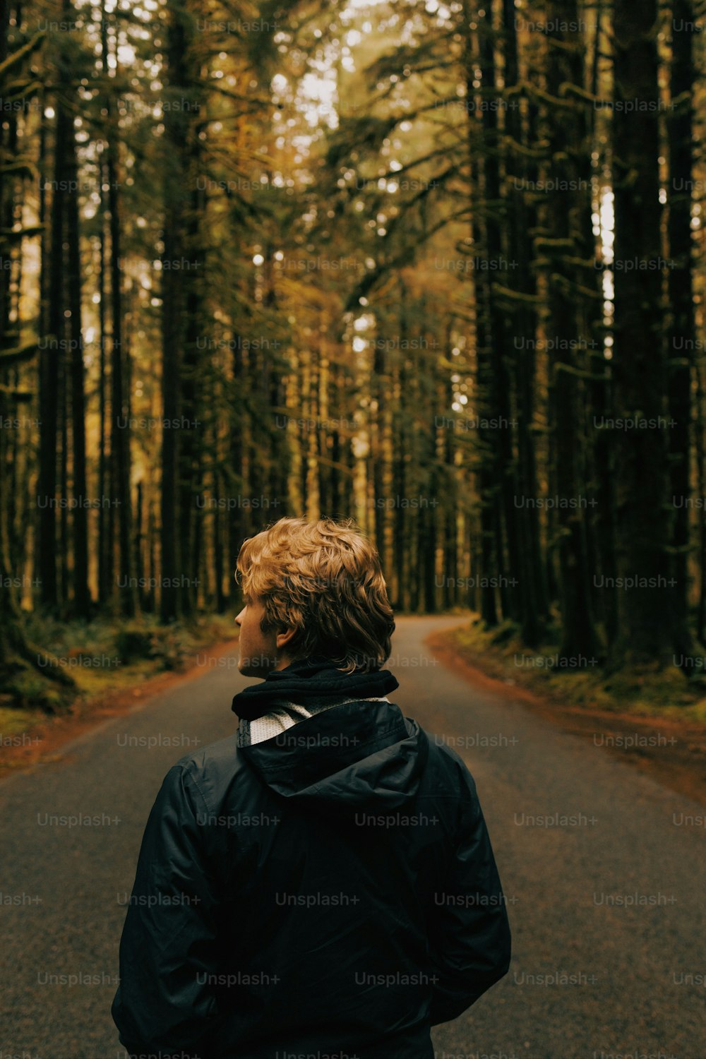 uma pessoa em pé em uma estrada no meio de uma floresta