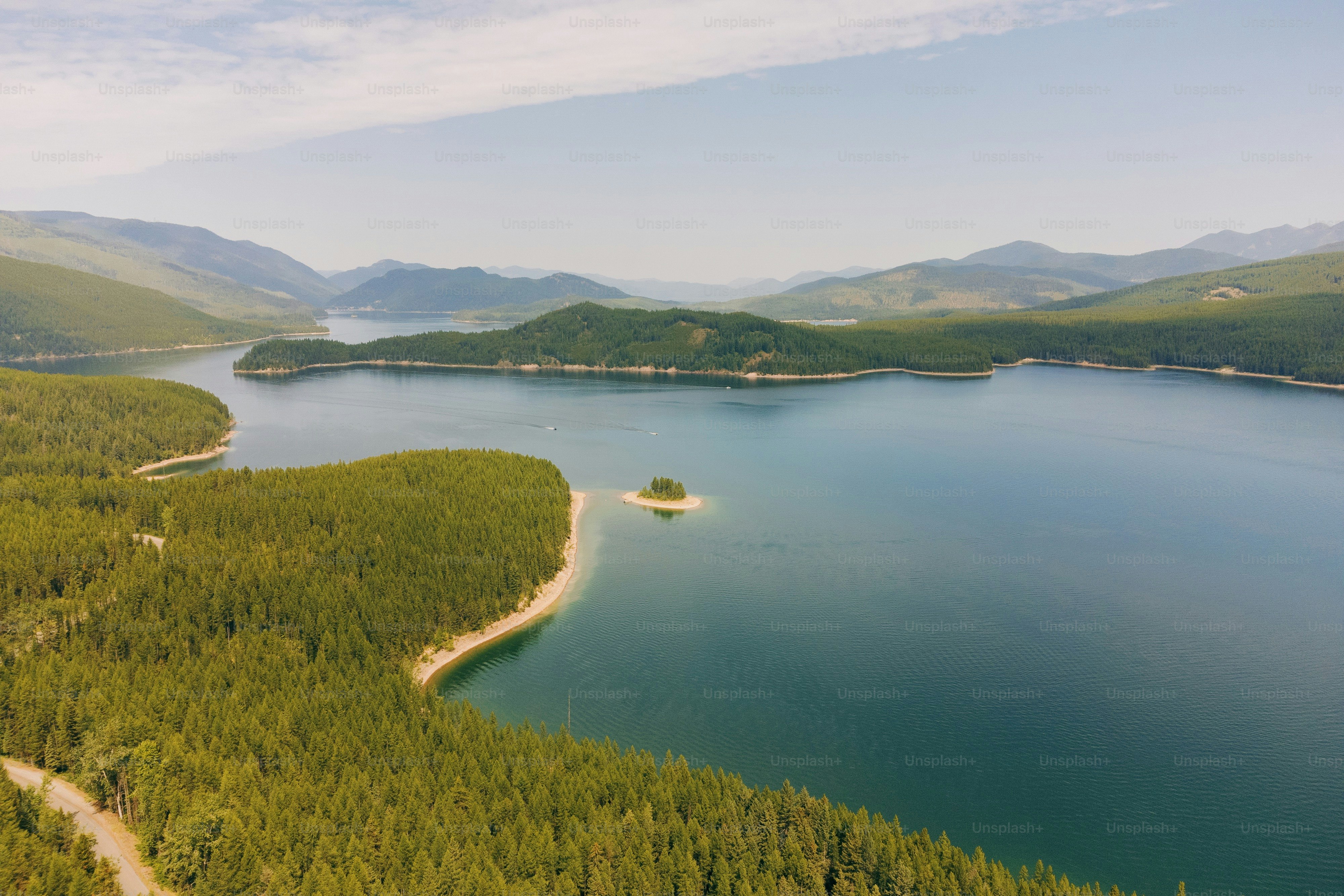 a large body of water surrounded by forest