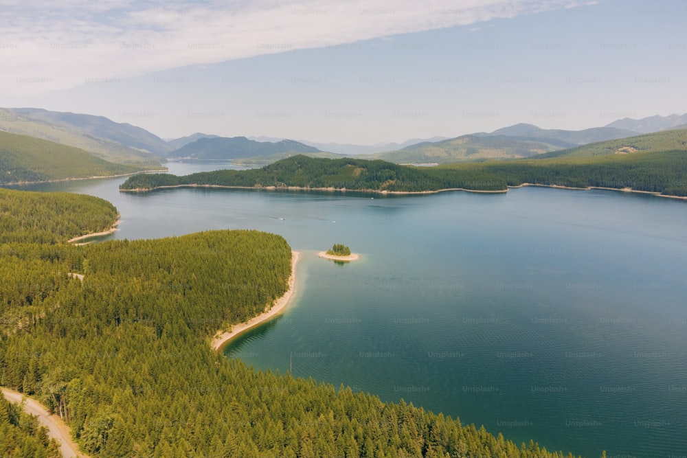 a large body of water surrounded by forest