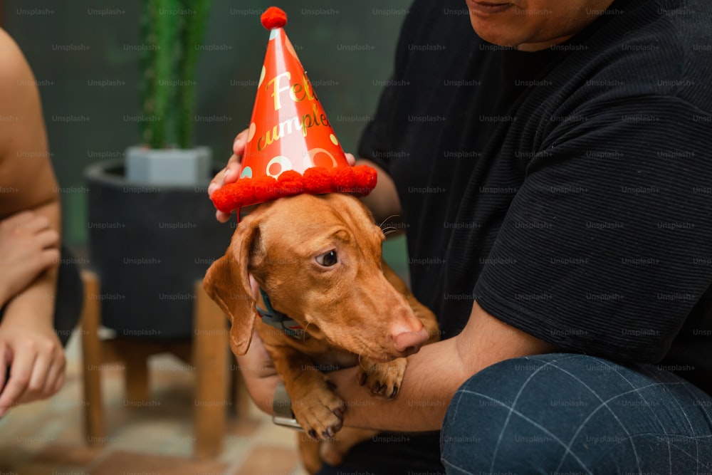 Ein Mann, der einen Hund hält, der eine Geburtstagsmütze trägt