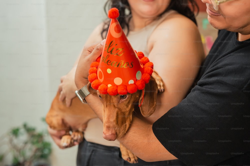 Una mujer sosteniendo un perro con un sombrero de cumpleaños