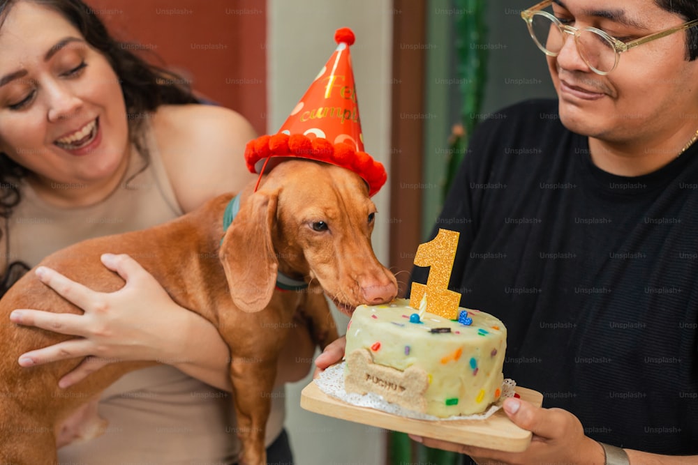 a man and woman feeding a dog a birthday cake