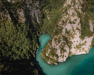 an aerial view of a river surrounded by trees