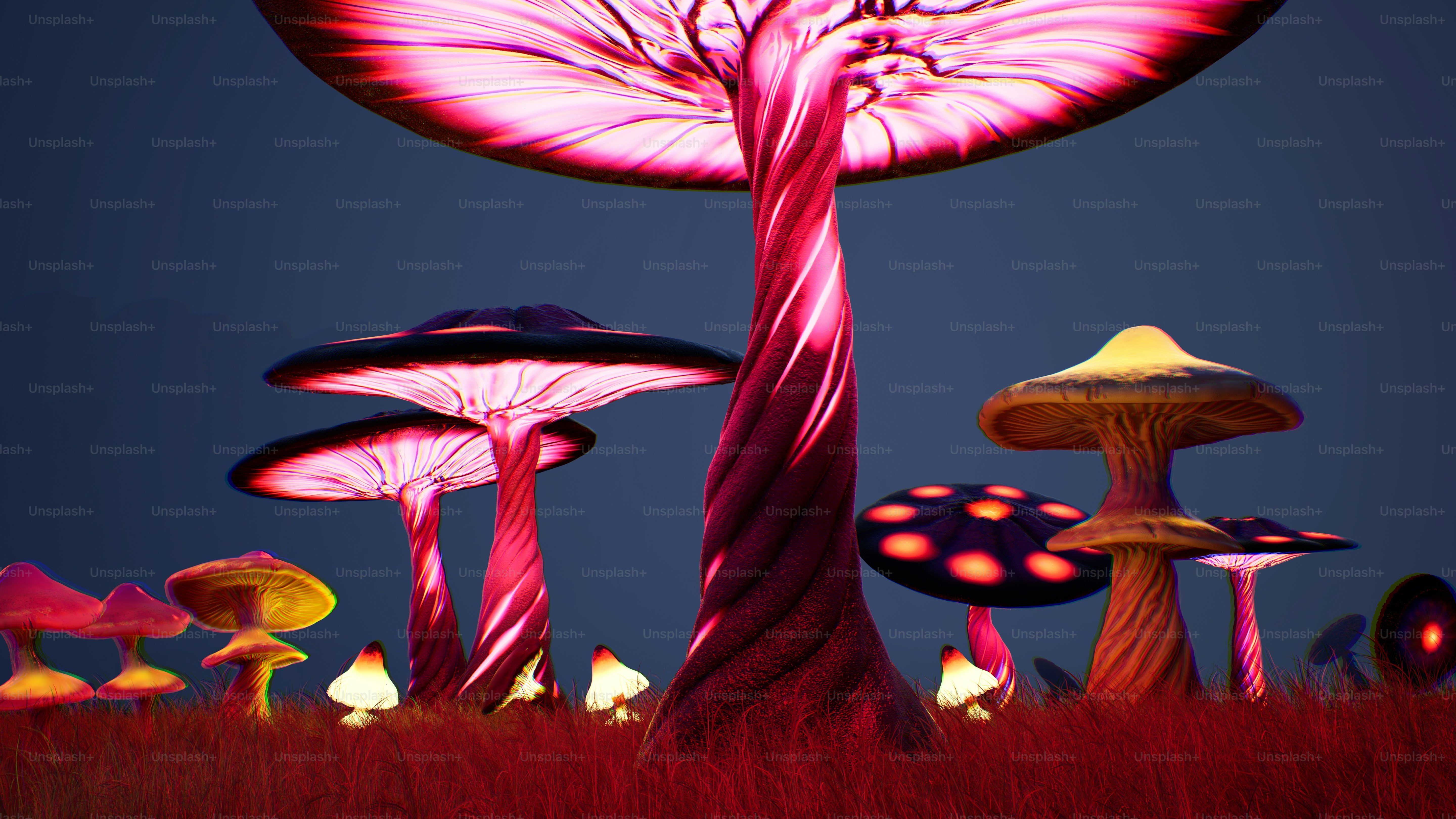 magic mushrooms