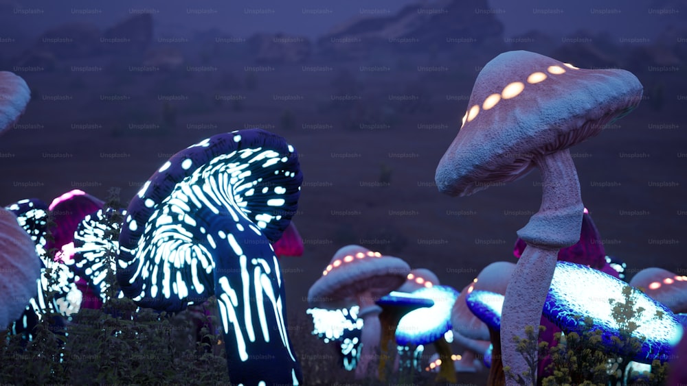 a group of illuminated mushrooms in a field