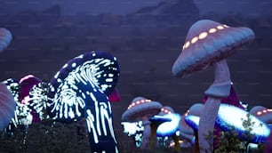 um grupo de cogumelos iluminados em um campo