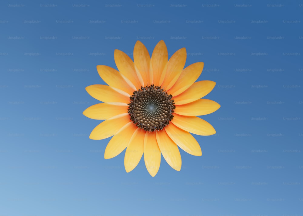 a yellow flower with a blue sky in the background