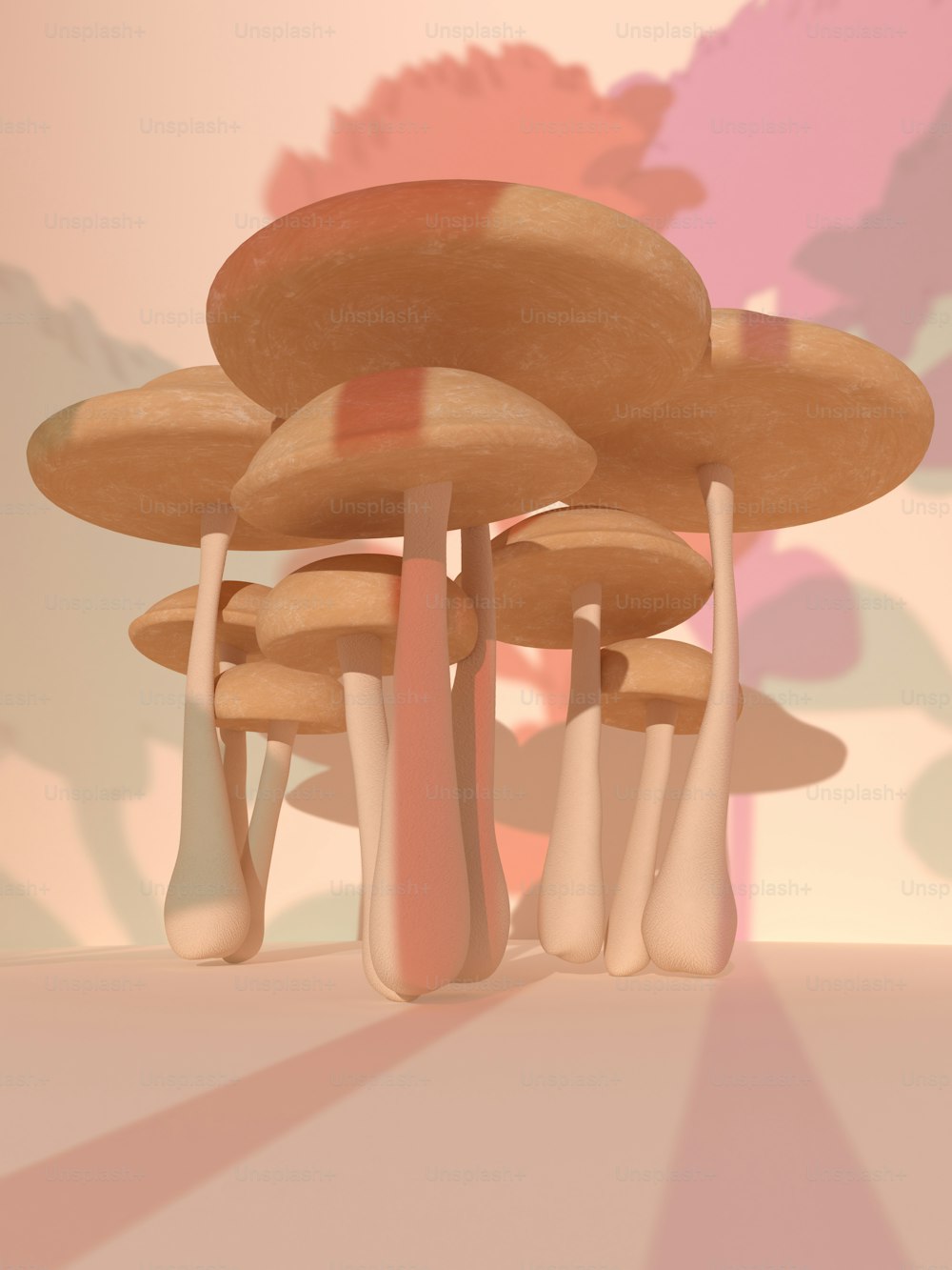un groupe de champignons assis sur une table