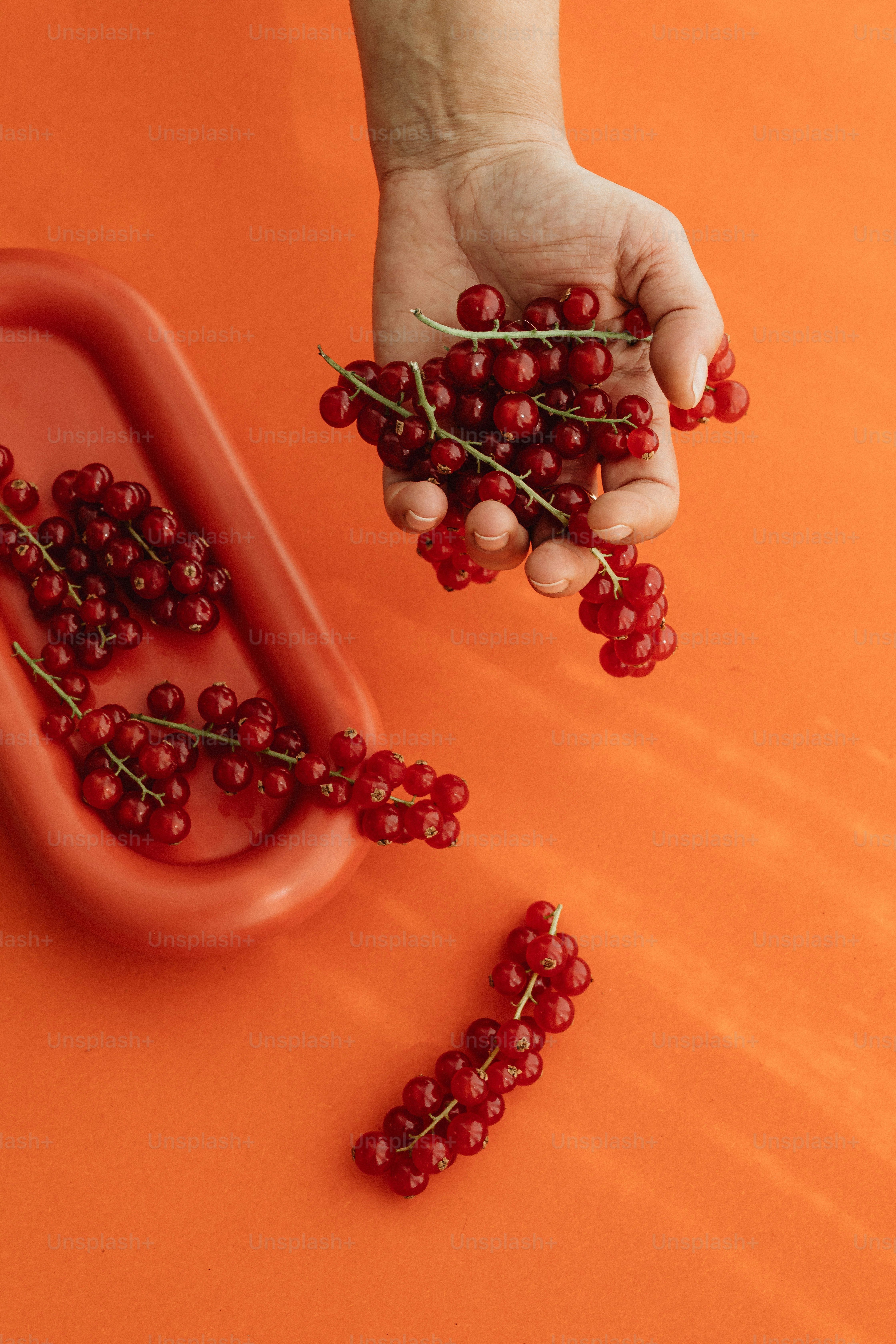 a person holding a bunch of red berries
