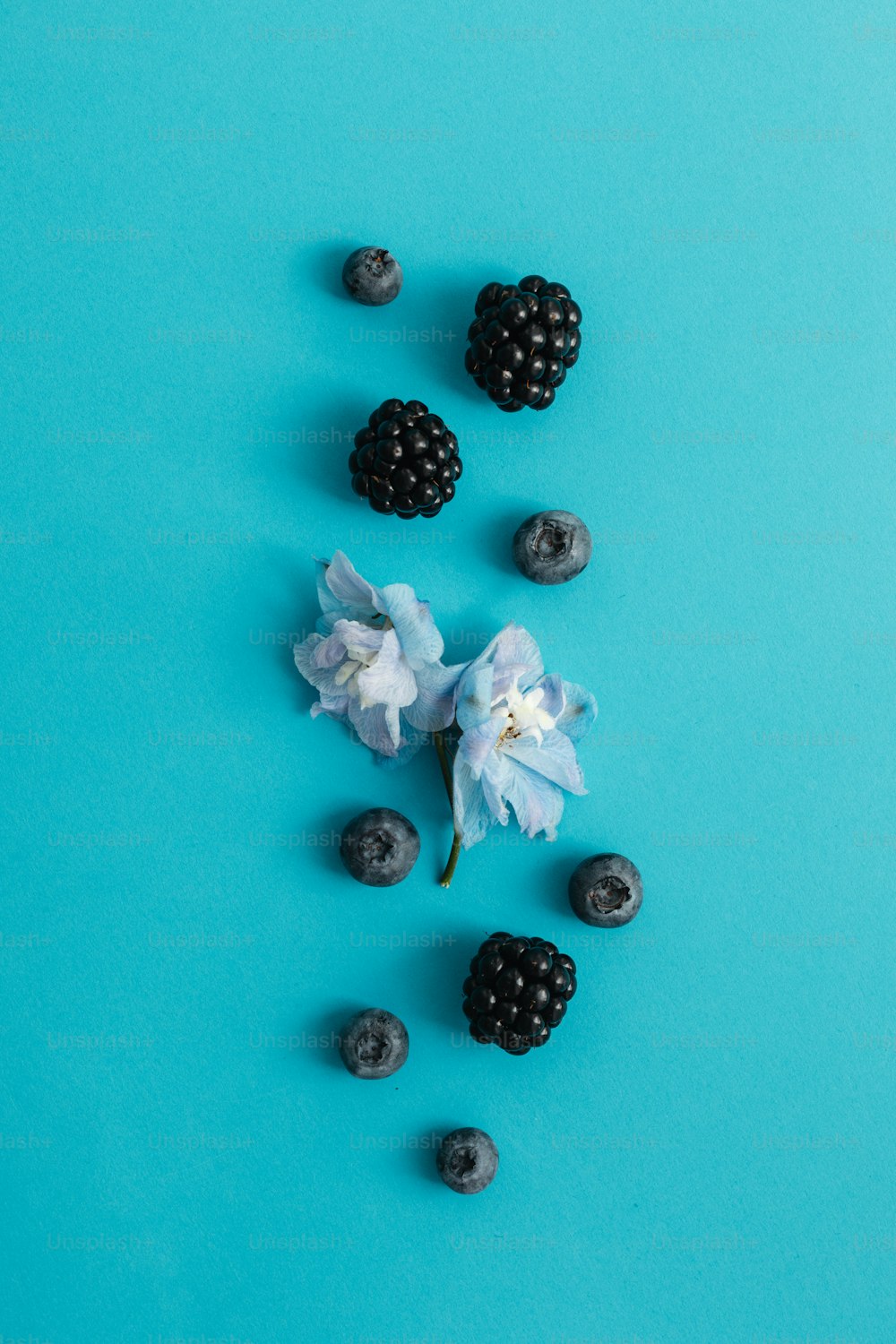 mirtilli, more e un fiore su uno sfondo blu