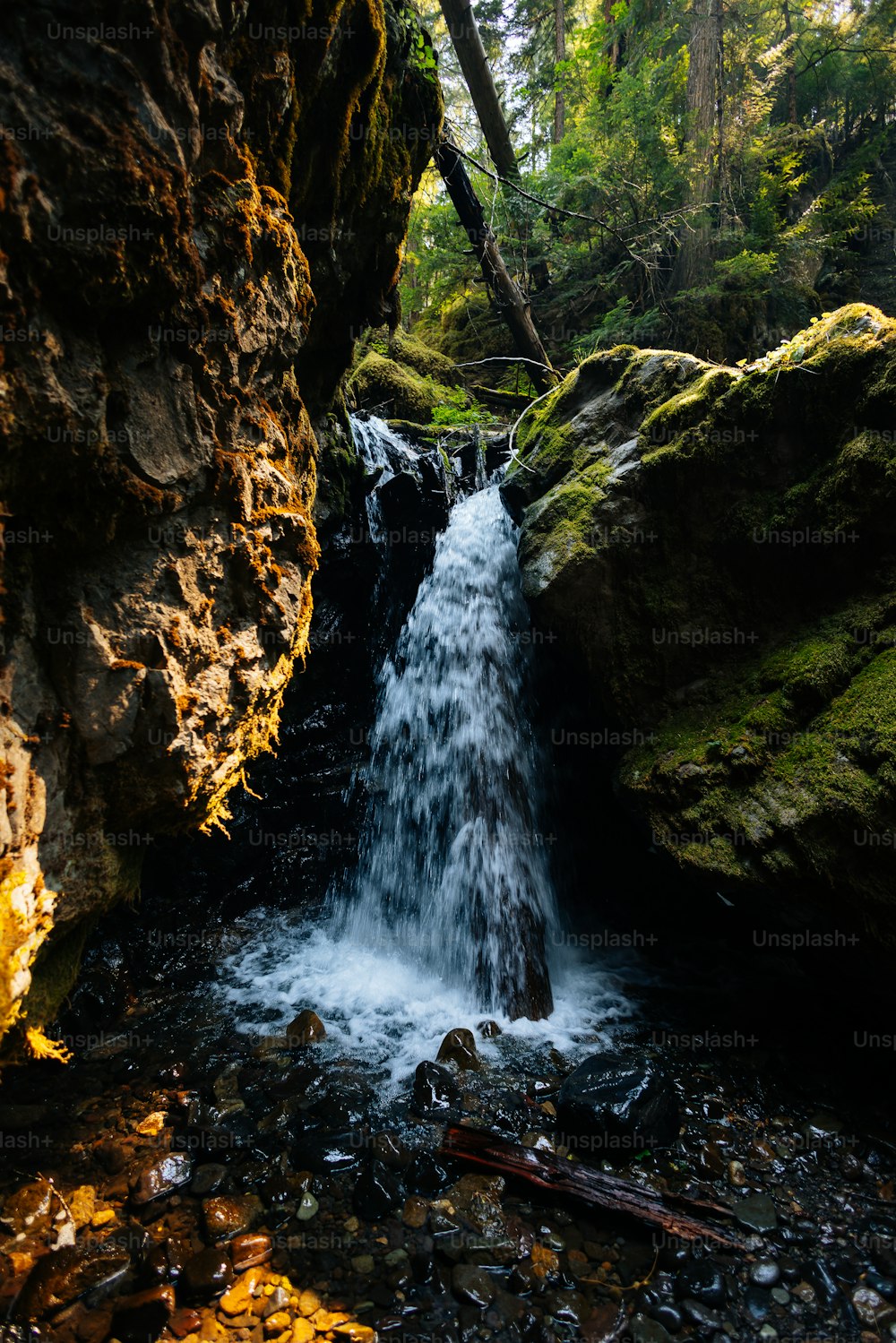 a stream of water running through a forest