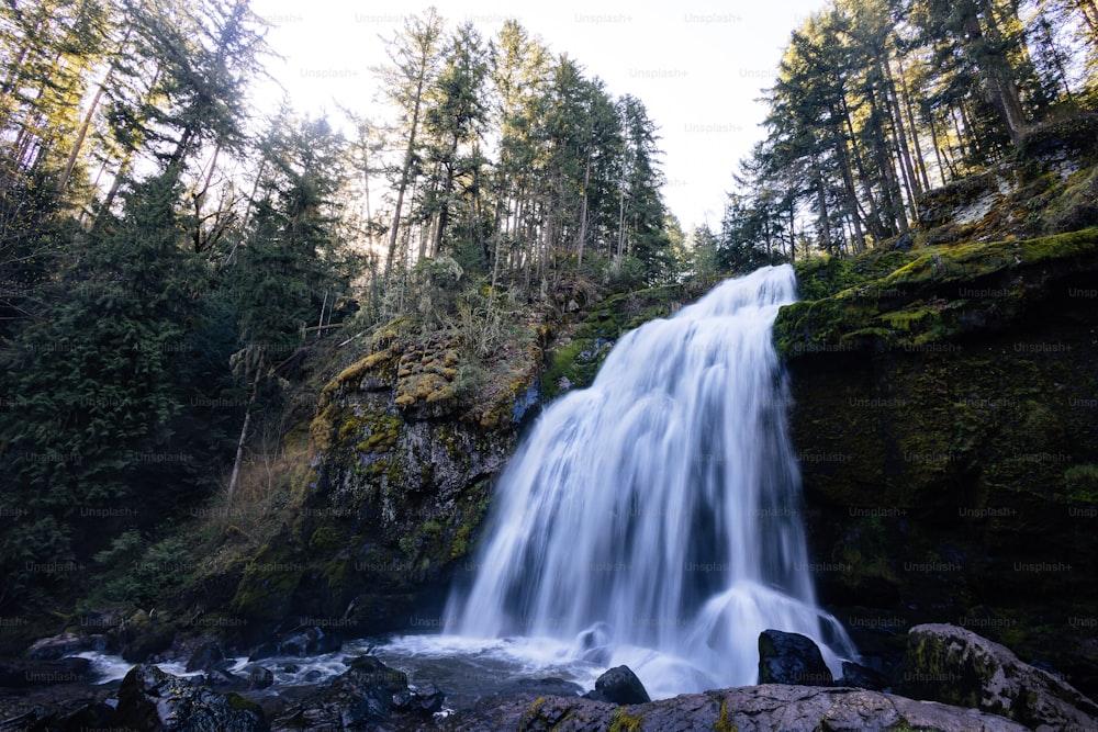 a waterfall in the middle of a forest