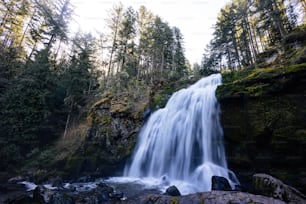 a waterfall in the middle of a forest