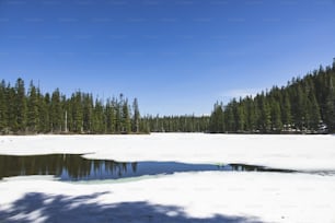 a snow covered field with trees in the background