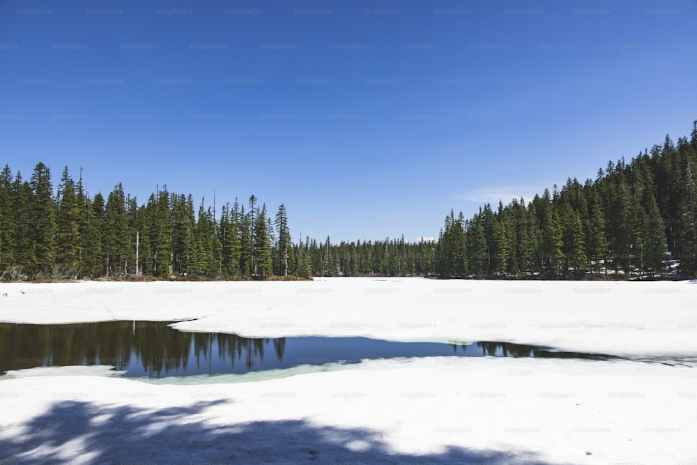 a snow covered field with trees in the background