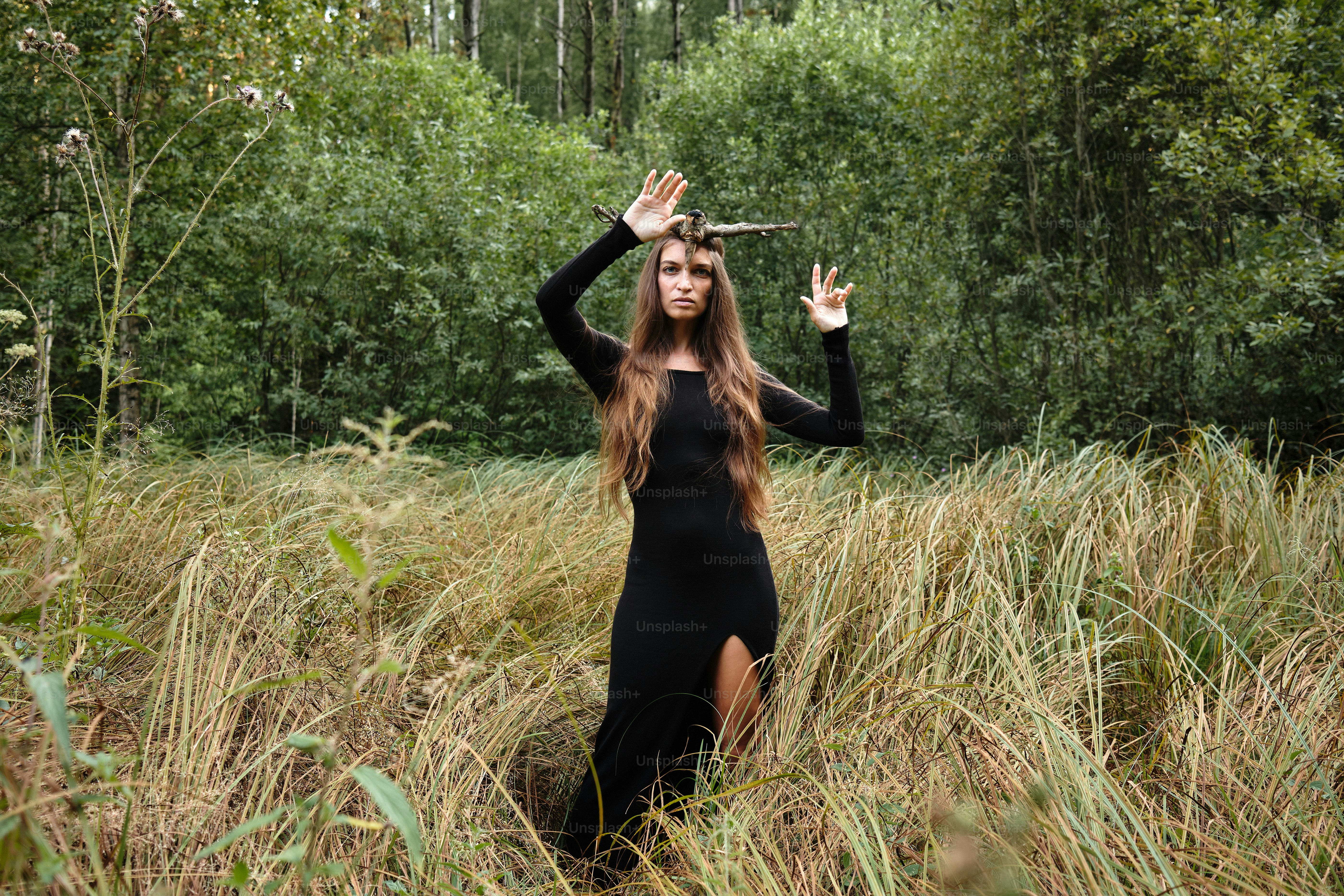 A woman sitting on a blanket in the woods photo – Forest Image on Unsplash